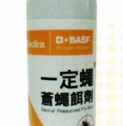 一定蠅
